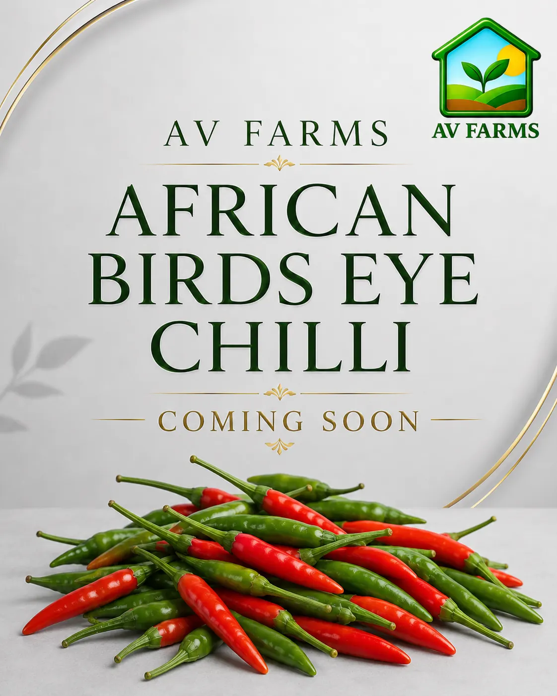 African Birds Eye Chilli coming soon branded product card at AV FARMS LIMITED