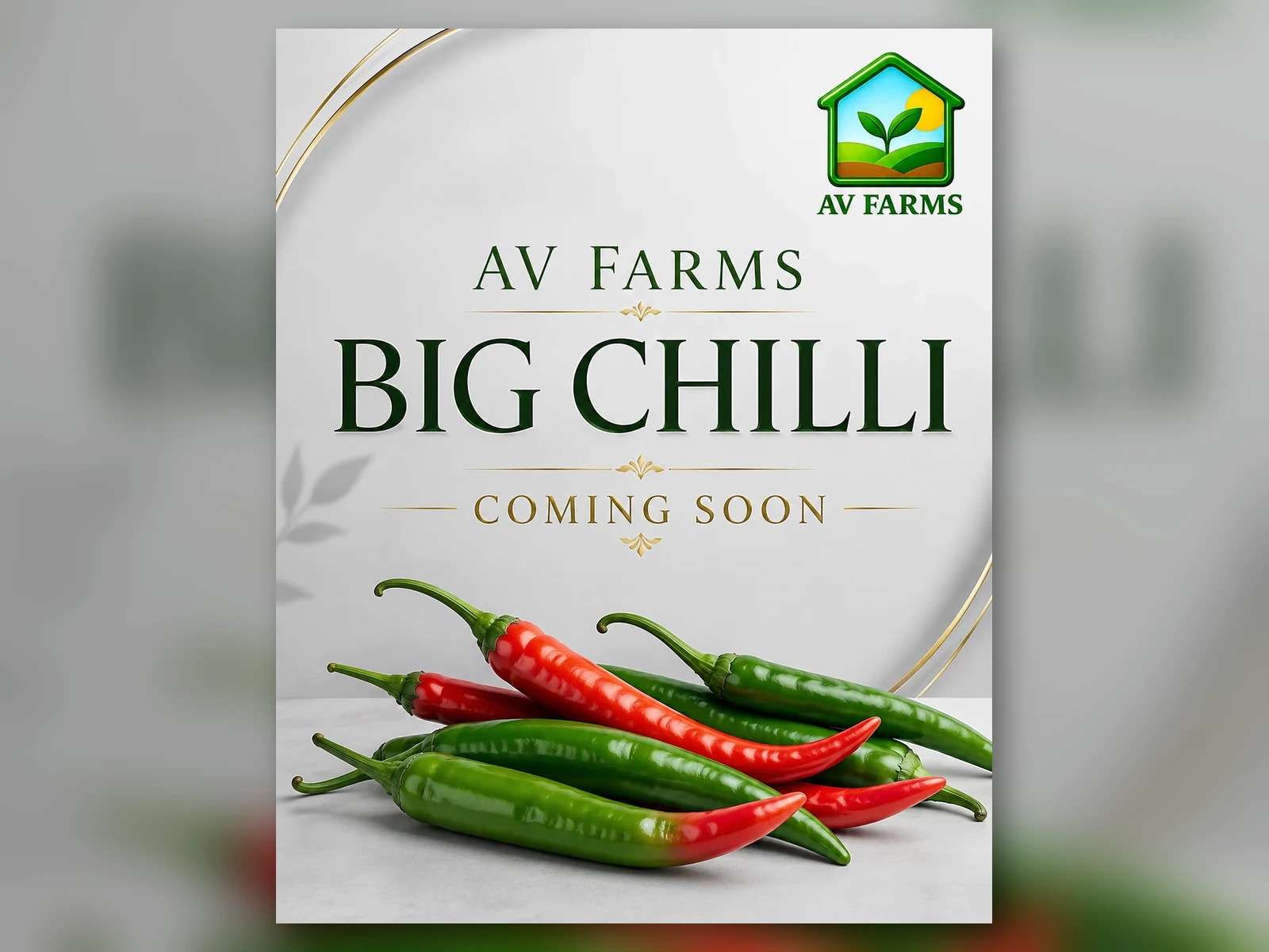 Greenhouse 2 - Big Chilli at AV FARMS LIMITED