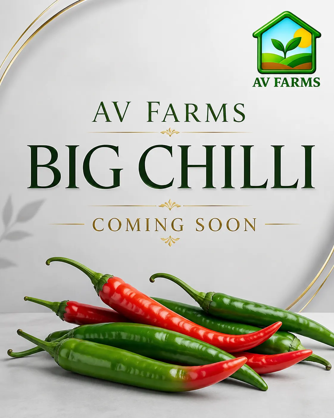 Big Chilli coming soon branded product card at AV FARMS LIMITED