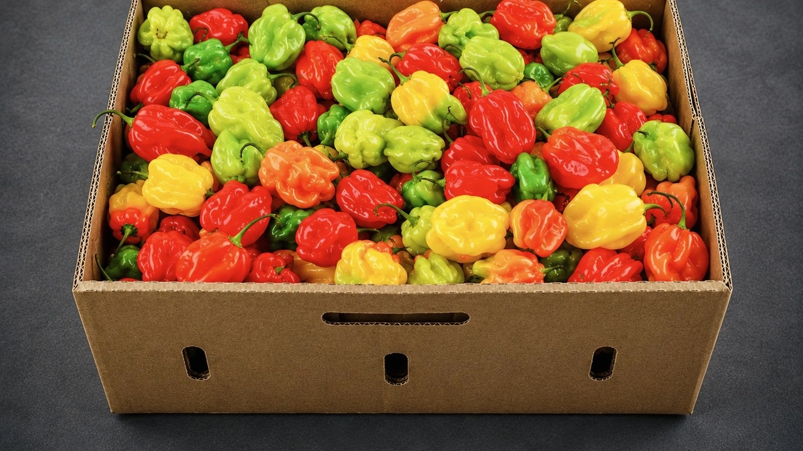 Box of habanero peppers for bulk buyers from AV FARMS LIMITED