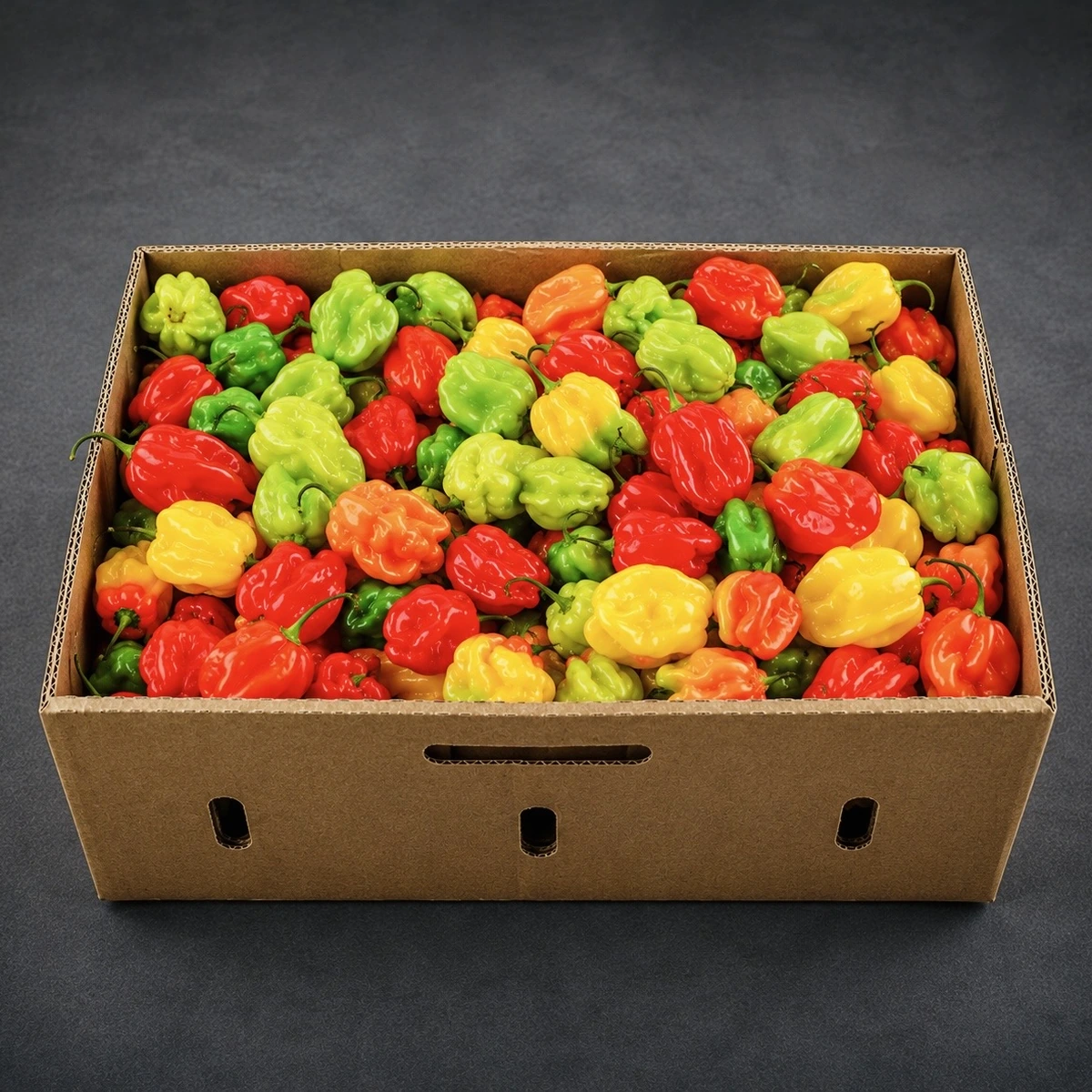 Box of habanero peppers for bulk buyers from AV FARMS LIMITED