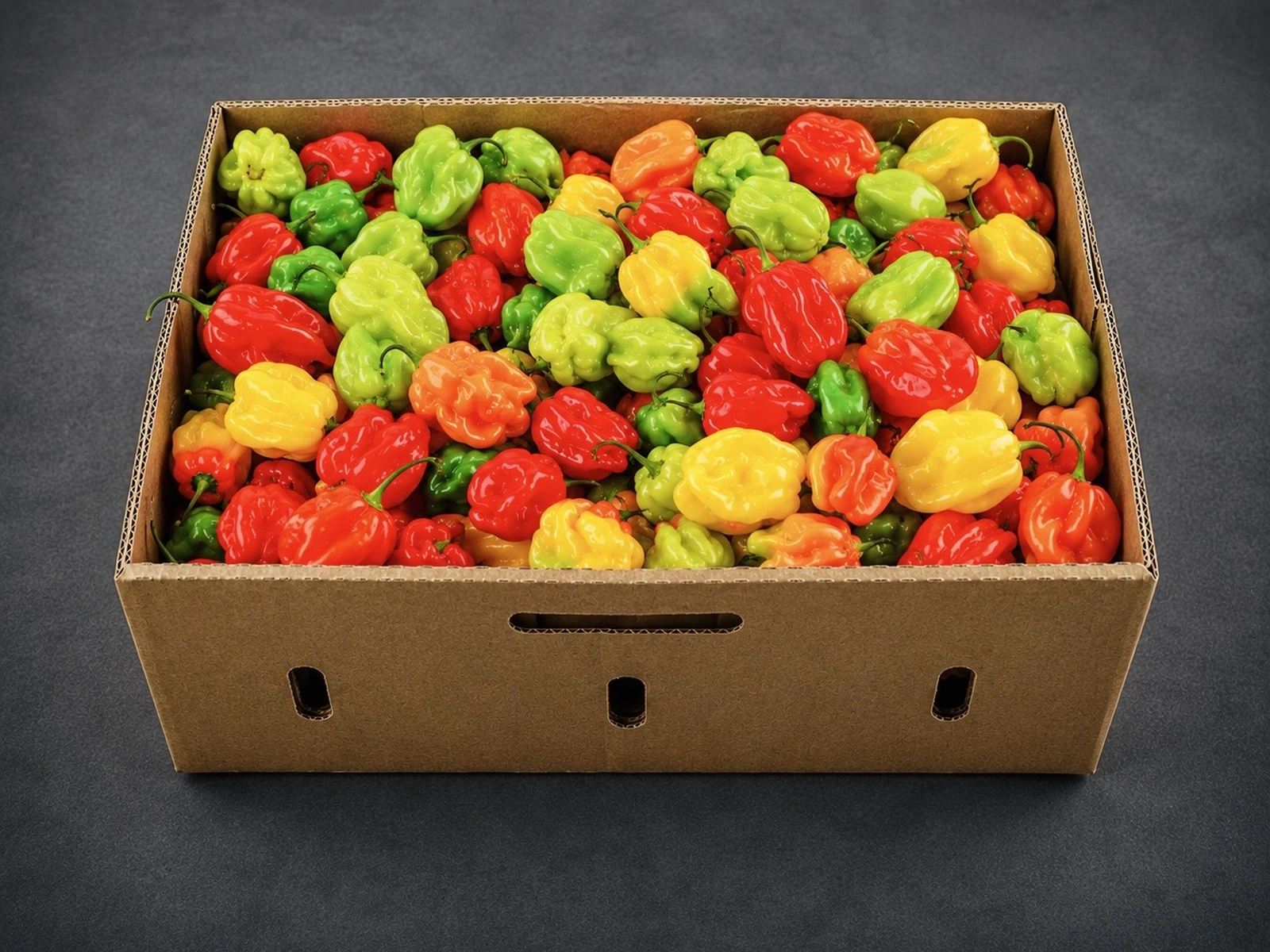 Box of habanero peppers for bulk buyers from AV FARMS LIMITED