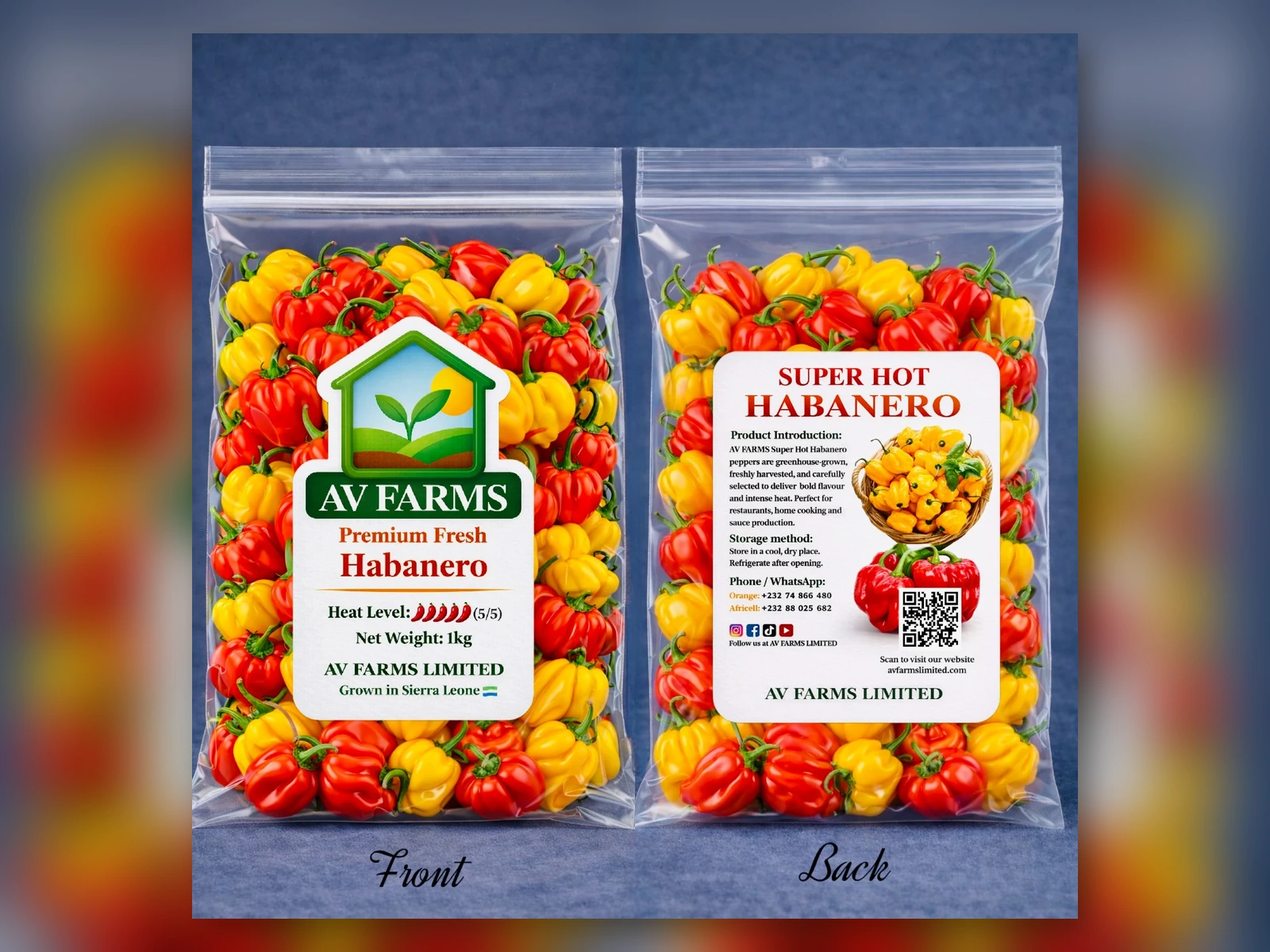 Greenhouse 1 - Habanero Pepper at AV FARMS LIMITED