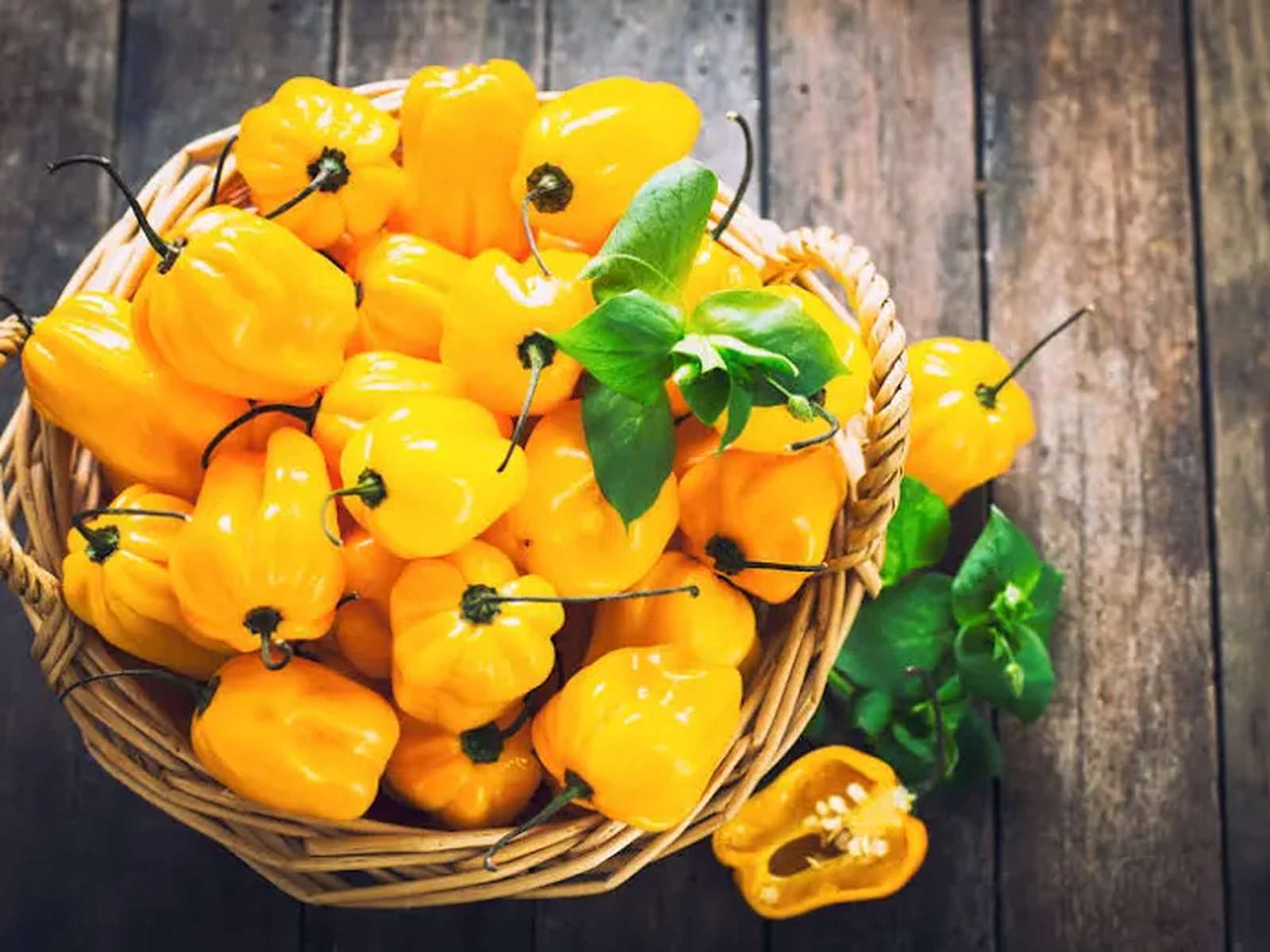 Yellow habanero peppers arranged in a basket for AV FARMS LIMITED gallery