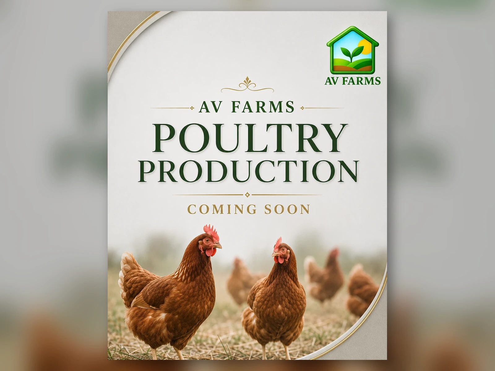Poultry Production at AV FARMS LIMITED