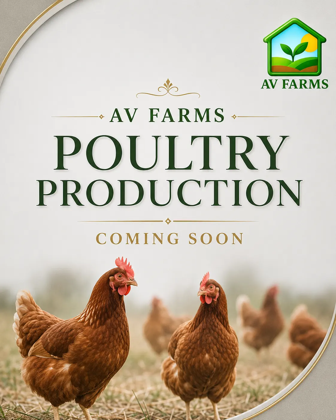 AV FARMS LIMITED poultry production coming soon